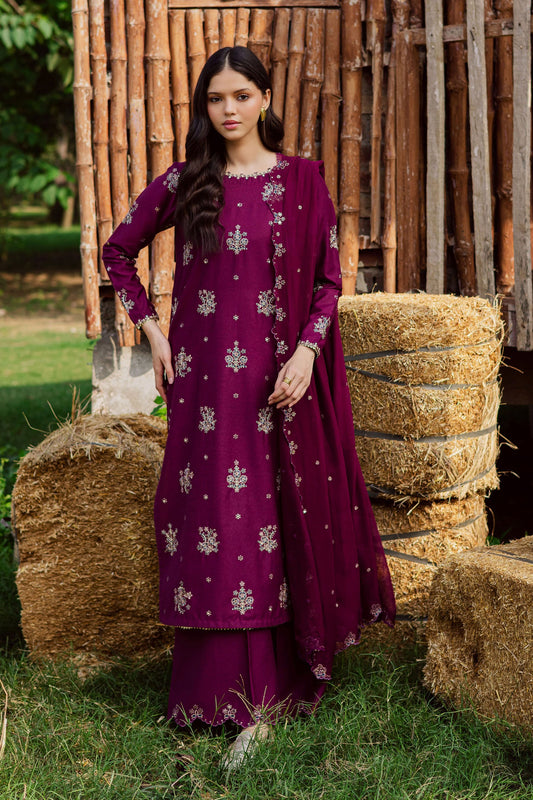 Batik 3 Piece Embroidered Dhanak Suit With Embroidered Dupatta